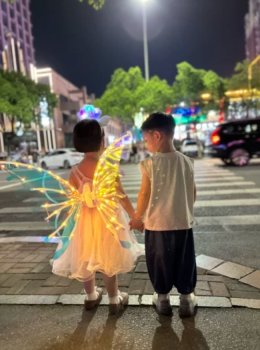 FAIRY ANGEL WING ปีกนางฟ้า