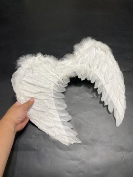 ปีกนางฟ้า ปีกเทวดา