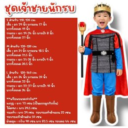 ชุดแฟนซีเจ้าชายนักรบ 