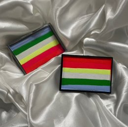 สีเพ้นท์เรืองแสง Fluorescent Paint