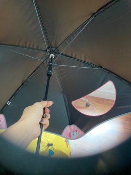 Goggle umbrella