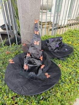 หมวกแม่มด ทรงสูงฟรีไซส์