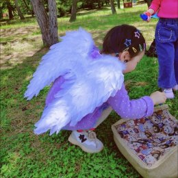 ปีกนางฟ้า ปีกเทวดา