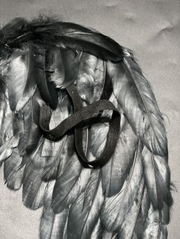 ปีกนางฟ้า ปีกเทวดา