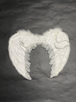 ปีกนางฟ้า ปีกเทวดา