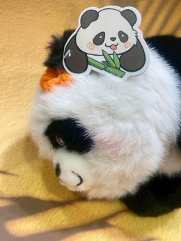 Panda doll bag กระเป๋าน้องแพนด้า ตัวป้อมน่ารักน่ากอด(ACC268)