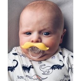 THE GENTLEMAN MUSTACHIFIER จุกหลอกหนวด Gentleman