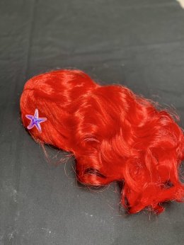 Princess Wigs วิกผมเด็กเจ้าหญิงดิสนีย์สุดสวย