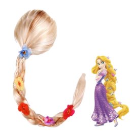 Princess Wigs วิกผมเด็กเจ้าหญิงดิสนีย์สุดสวย
