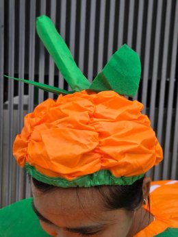 ชุดคอสตูมฟักทองยักษ์เป่าลม Pumpkin Party Costume (FANCY598)