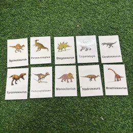 Montessori Card + mini models โมเดลจิ๋ว พร้อมการ์ดจับคู่
