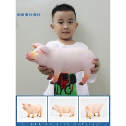 Jumbo animal Model โมเดลสุดเท่ไซส์จัมโบ้ 