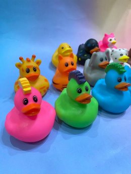 เป็ดลอยน้ำ Ducky collection(TOY685) เป็ดน้อยร้อยสไตล์