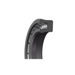 Spring Energized PTFE Lip Seal