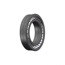 Spring Energized PTFE Lip Seal