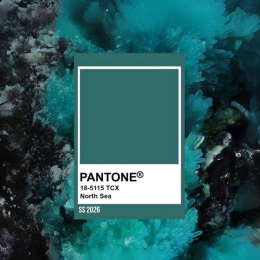 Pantone of the Year 2026 : เทรนด์สี 2026 เทรนด์สีแห่งอนาคต
