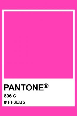 BARBIE Pantone Colour ตามสีเทรนด์ แบรนด์ไหนมี แบรนด์นั้นปังงง!!!