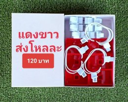 กดที่นี่เพื่อเข้าดูแบบ อุปกรณ์นาฬิกา