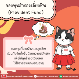 กองทุนสำรองเลี้ยงชีพคืออะไร สำคัญกับมนุษย์เงินเดือนอย่างไร