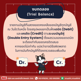 งบทดลองคืออะไร ทำไมธุรกิจถึงต้องทำงบทดลอง?