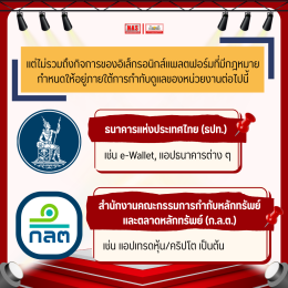 อิเล็กทรอนิกส์แพลตฟอร์มนำส่งบัญชีพิเศษ คืออะไร?