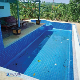 Swimming Pool Project D