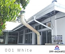 White 001