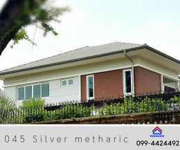 Silver metallic 045