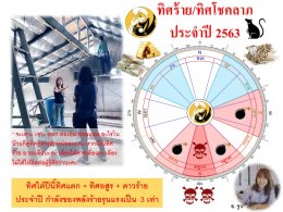 ทิศร้ายประจำปี 2563 (ปีชวด)