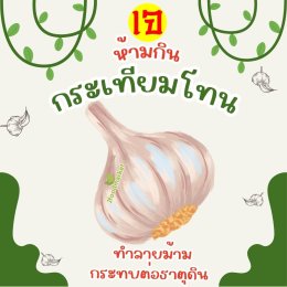 ผักต้องห้ามช่วงเทศกาลกินเจ