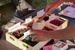 ภาพบรรยากาศงานโชว์รถพิลาฟาร์ม