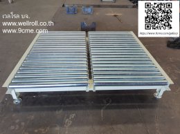 ลูกกลิ้งลำเลียง(Free roller conveyor)