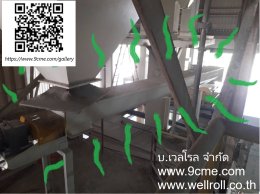 สกรูคอนเวเยอร์(screw conveyor)