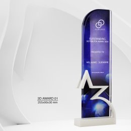 3D Award 01
