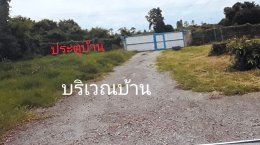 ขายบ้านเดี่ยว(ฟาร์มสุนัข) ห้วยขวาง กำแพงแสน นครปฐม