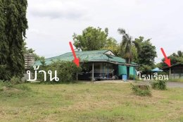 ขายบ้านเดี่ยว(ฟาร์มสุนัข) ห้วยขวาง กำแพงแสน นครปฐม