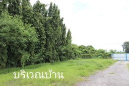 ขายบ้านเดี่ยว(ฟาร์มสุนัข) ห้วยขวาง กำแพงแสน นครปฐม