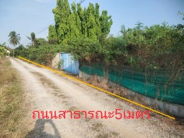 ขายบ้านเดี่ยว(ฟาร์มสุนัข) ห้วยขวาง กำแพงแสน นครปฐม