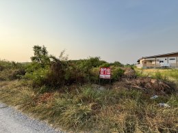 ขายที่ดิน 122 ตรว. และ 96 ตรว. (รวม 218 ตรว.)