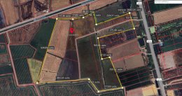 ขายที่ดิน 65 ไร่ และ 87 ไร่ อ.ดอนตูม จ.นครปฐม  พิกัด: https://maps.app.goo.gl/2os3F7MGi7iCWJUr9   สนใจติดต่อ: 0898263563 ไลน์ไอดี: tom0898263563  #ขายที่ดิน65ไร่นครปฐม #ขายที่ดินนครปฐม #ขายที่ดินดอนตูมนครปฐม