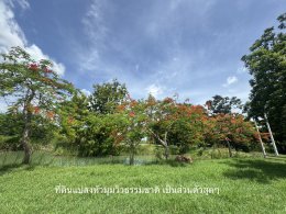 ขายที่ดิน โครงการป่าน้ำใส จังหวัดนครปฐม ขนาด 232.9 ตารางวา