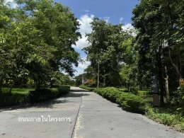 ขายที่ดิน โครงการป่าน้ำใส จังหวัดนครปฐม ขนาด 232.9 ตารางวา