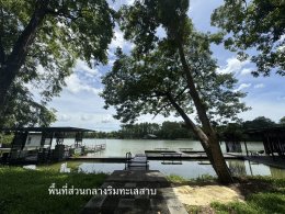ขายที่ดิน โครงการป่าน้ำใส จังหวัดนครปฐม ขนาด 232.9 ตารางวา