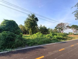 ขายที่ดิน 200 ตรว หมู่ 4 วังตะกูนครปฐม