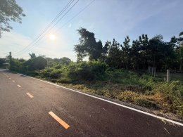 ขายที่ดิน200ตรว1