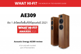 AE309 : Best floorstanding speakers 2021: budget to premium