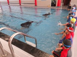 ประชาสัมพันธ์เรียนพิเศษว่ายน้ำโรงเรียนวุฒิวิทยา 2