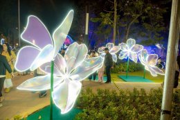 Awakening Nan: The Legacy of Love | UNESCO Creative City