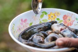 "Huai Phan"Where Nature and Life Walk the Same Path 