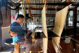 Dream Pangjai and a 700-Year pattern in Bo Suak